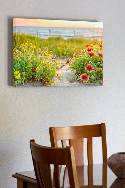 20"x30" x1.5" stretched canvas print hanging in the dining room of These Gaillardia flowers grow like weeds in the sand on the Outer Banks. They are also known as Indian Blanket Flower, or Firewheel, and are locally known as Jo Bells.