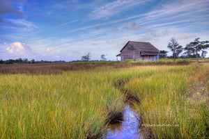 Portsmouth Island creek leading to a   cabin.  Portsmouth used to be the largest port in North Carolina until   the shoaling inlet halted commerce and  the towns people moved away. It has been restored by the National Park Service. Portsmouth was established in 1753 and the last resident left in 1971.