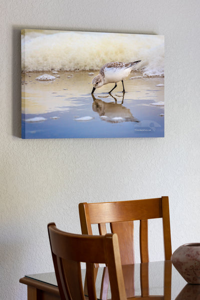 20"x30" x1.5" stretched canvas print hanging in the dining room of Feeding sandpiper and seafoam on the Outer Banks in Corolla NC.