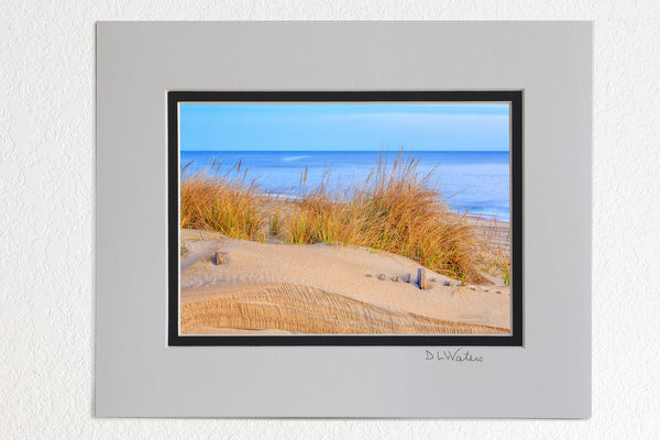5 x 7 luster prints in a 8 x 10 ivory and black double mat of Sea oats at sunrise along the Nags Head beach on the Outer Banks of NC.
