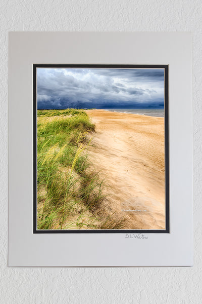 8 x 10 luster print in a 11 x 14 ivory and black double mat of Approaching storm over sea oats on a Cape Hatteras beach.