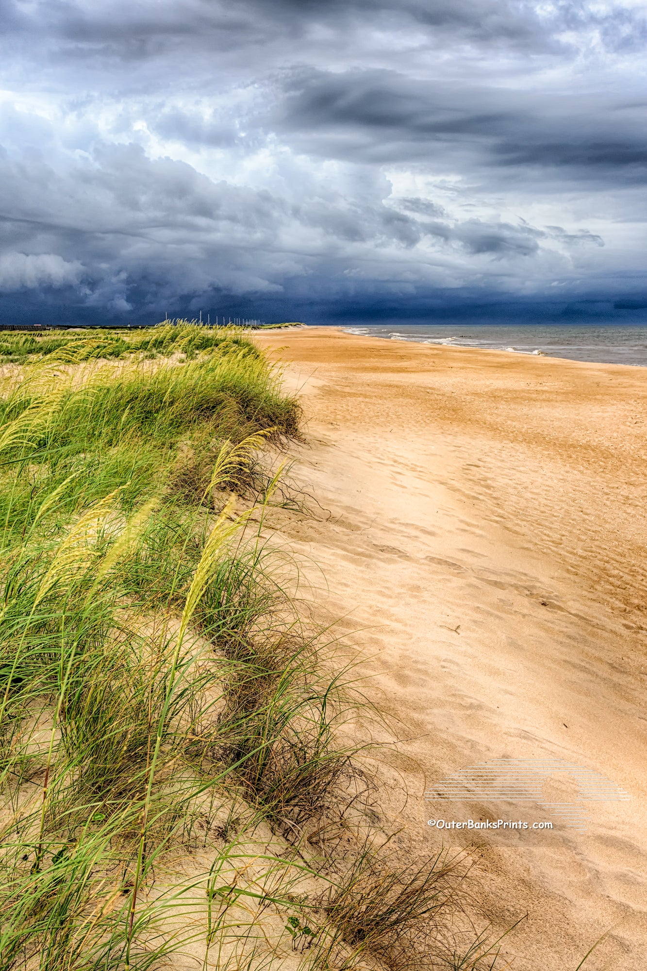 Approaching storm over sea oats on a Cape Hatteras beach.