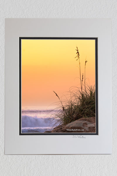 8 x 10 luster print in a 11 x 14 ivory and black double mat of Silhouette of sea oats and sand dunes against a peach colored sky and surf on a Outer Banks beach.