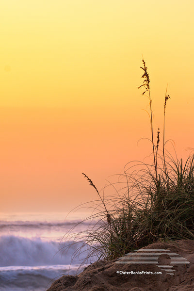 Silhouette of sea oats and sand dunes against  a peach colored sky and surf on a Outer Banks beach.