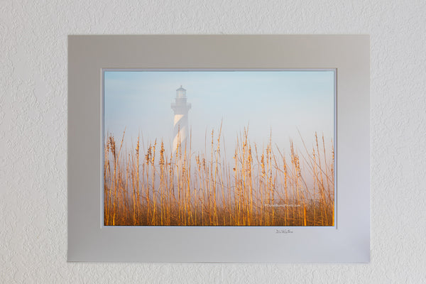 Cape Hatteras lighthouse in the fog behind a line of sea oats in the sun at Buxton North Carolina in Cape Hatteras National Seashore.