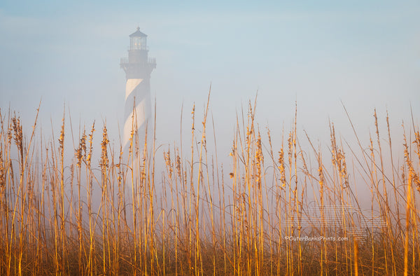 Cape Hatteras lighthouse in the fog behind a line of sea oats in the sun at Buxton North Carolina in Cape Hatteras National Seashore.