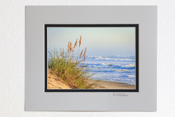 5 x 7 luster prints in a 8 x 10 ivory and black double mat of  Sunny Cape Hatteras beach morning on the Outer Banks of NC.
