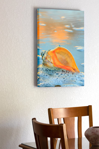 20"x30" x1.5" stretched canvas print hanging in the dining room of A whelk shell in the seafoam at the beach on Hatteras Island.