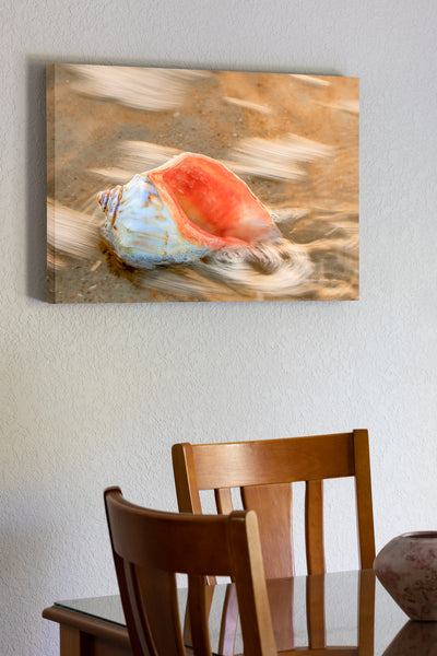 20"x30" x1.5" stretched canvas print hanging in the dining room of Surf Swirling around a whelk shell on the Outer Banks of NC.