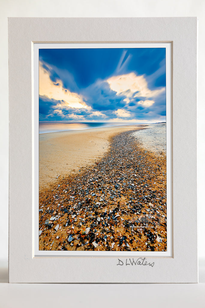 Shell Trail Outer Banks Beach – Outer Banks Photo Prints