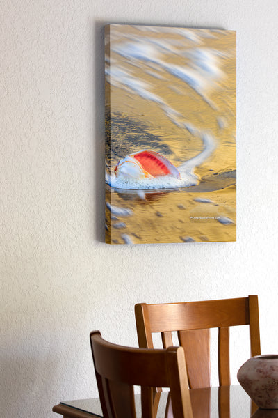 20"x30" x1.5" stretched canvas print hanging in the dining room of Long exposure of a whelk shell in the surf at sunrise at a Outer Banks beach.