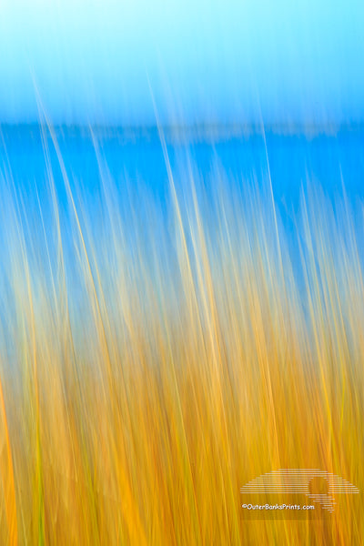 Pamlico Sound grass photographed with a long exposure while the camera was moved.