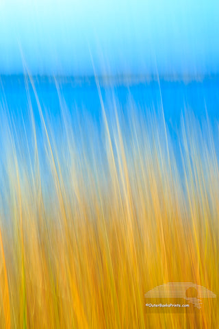 Pamlico Sound grass photographed with a long exposure while the camera was moved.