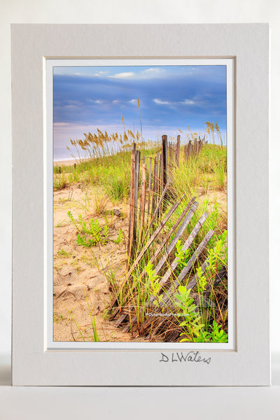 4 x 6 luster print in a 5 x 7 ivory mat of  Summer storm on the coast of NC at Kitty Hawk. The sand fence and sea oats make for a dramatic foreground with the summer beach storm in the background.