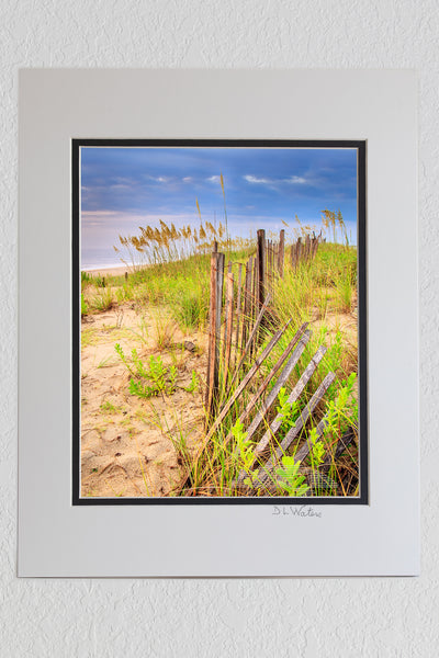 8 x 10 luster print in a 11 x 14 ivory and black double mat of Summer storm on the coast of NC at Kitty Hawk. The sand fence and sea oats make for a dramatic foreground with the summer beach storm in the background.