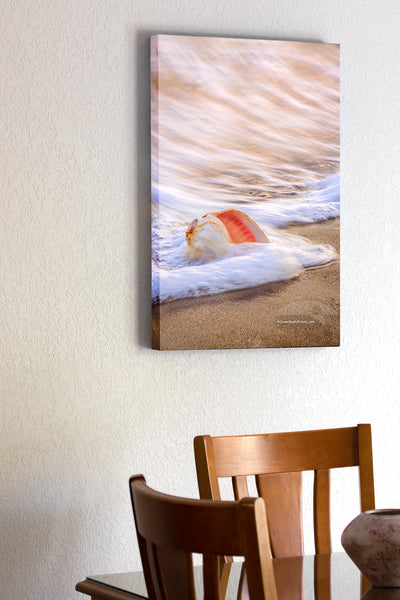 20"x30" x1.5" stretched canvas print hanging in the dining room of  Whelk shell in the surf at sunrise on an Outer Banks beach.