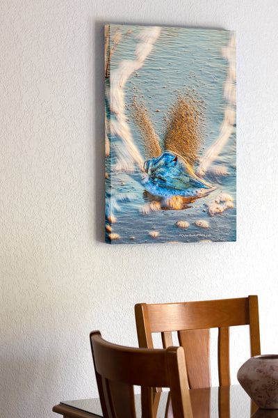 20"x30" x1.5" stretched canvas print hanging in the dining room of This photo was taken while on a tripod, with a slow shutter speed in order to show the movement of the bubbles in contrast with the sharp whelk shell.