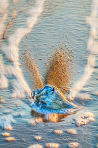 This photo was taken while on a tripod, with a slow shutter speed  in order to show the movement of the bubbles in contrast with the  sharp whelk shell.